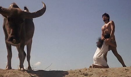 निपल गंध हिंदी में सेक्सी मूवी वीडियो में